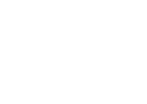RedBull-Icon-white